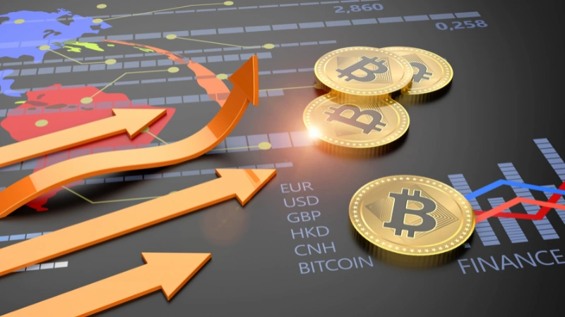 Kripto borsaları nedir