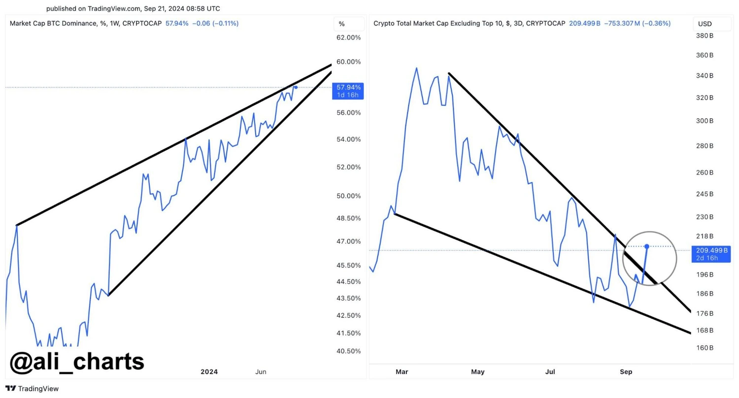 Altcoin piyasalarında yükselen trend